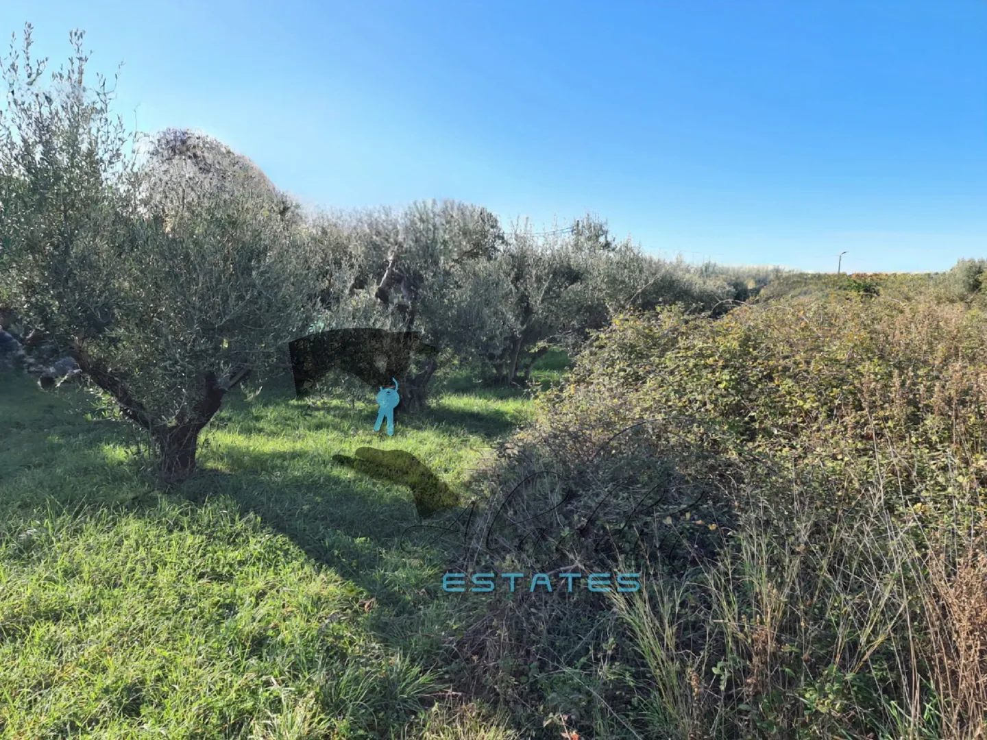 trogir, velika građevinska čestica s idejnim projektom, 1.211 m2 - slika 3