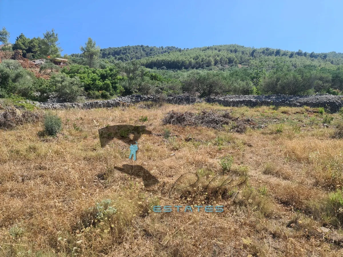 slatine, prostrana građevinska čestica s prekrasnim pogledom na more, 1.300 m2 - slika 3