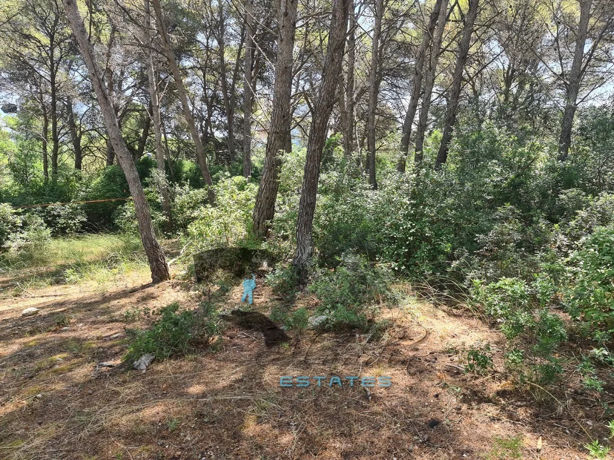 sutivan, prostrana čestica drugi red do mora s prekrasnim pogledom, 7.063 m2 - slika 9