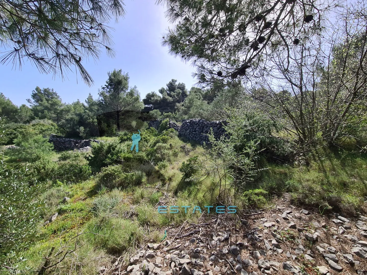 slatine, očaravajuća poljoprivredna čestica, prvi red do mora i plaže, 5.530 m2 - slika 6