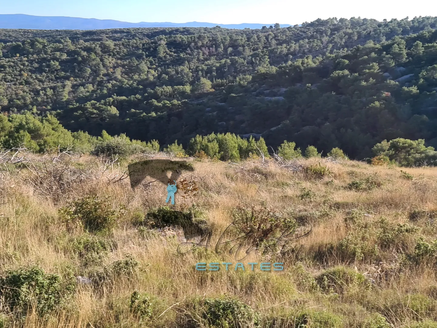 slatine, izvrsna poljoprivredna čestica s prekrasnim pogledom, 6951 m2 - slika 5