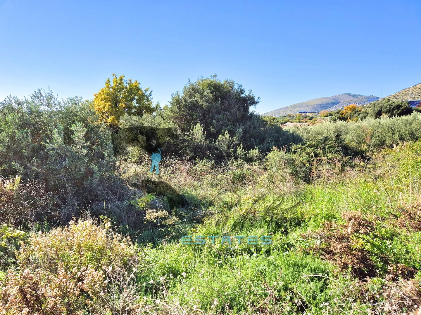 trogir, izuzetna zemljišna čestica s pogledom na more, 1.861 m2 - slika 6