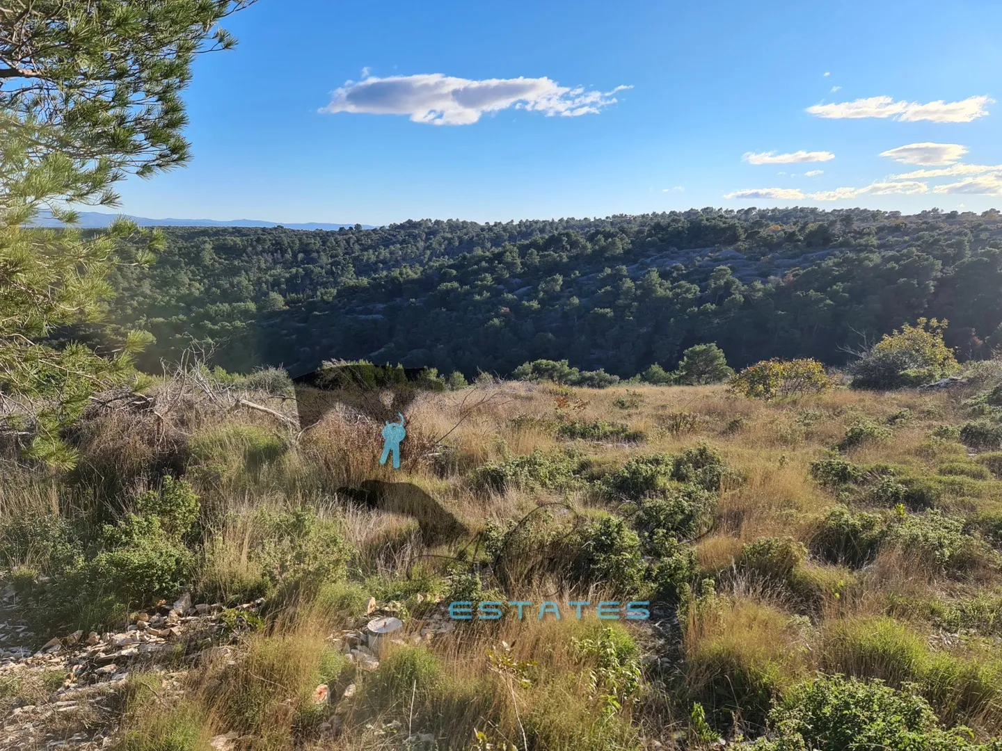 slatine, izvrsna poljoprivredna čestica s prekrasnim pogledom, 6951 m2 - slika 2