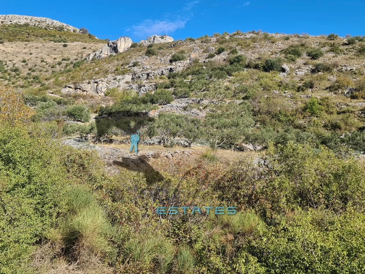 seget gornji, izdašna poljoprivredna čestica s maslinikom i pogledom na more, 4840 m2 - slika 9