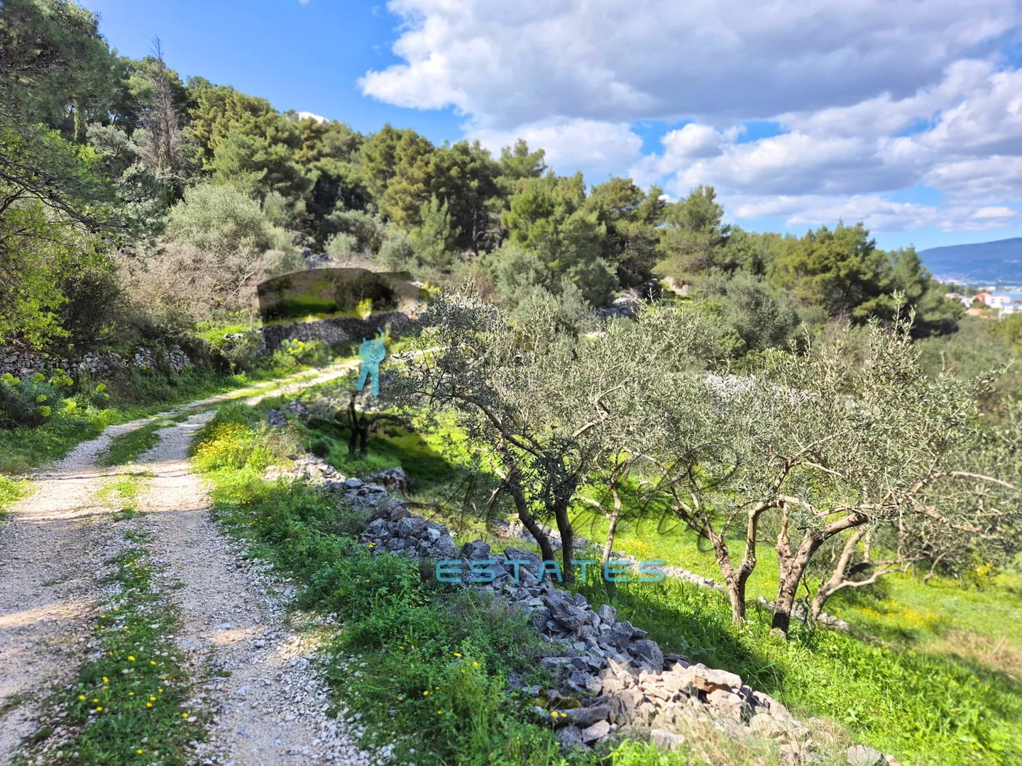 slatine, velika zemljišna čestica s prekrasnim pogledom, 3607 m2 - slika 6