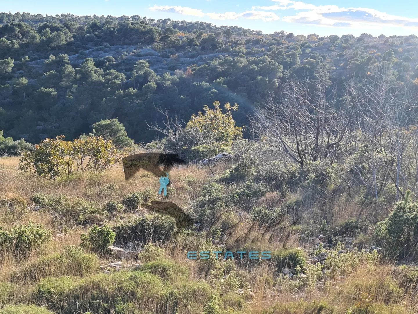 slatine, izvrsna poljoprivredna čestica s prekrasnim pogledom, 6951 m2 - slika 6