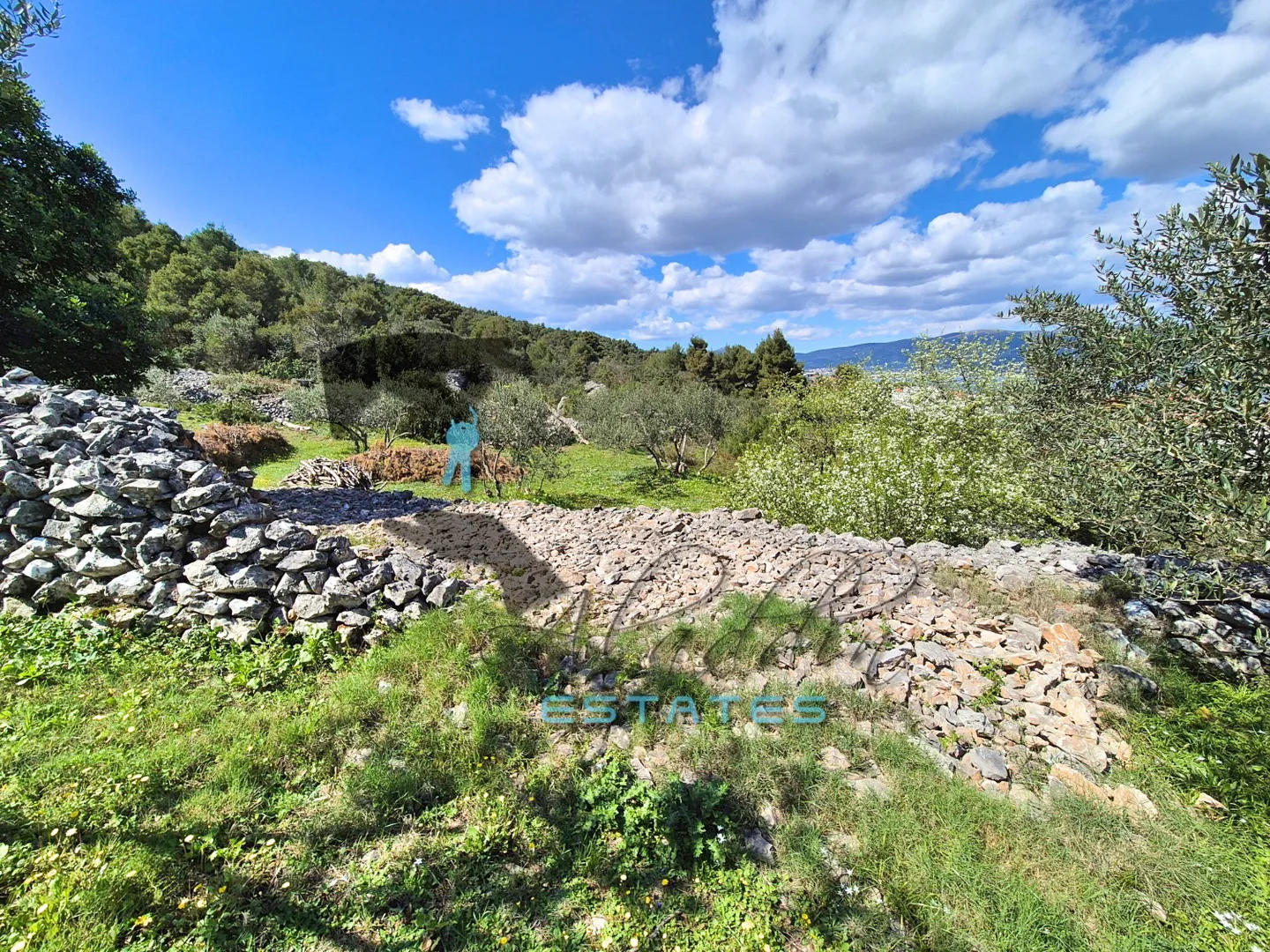 slatine, velika zemljišna čestica s prekrasnim pogledom, 3607 m2 - slika 2