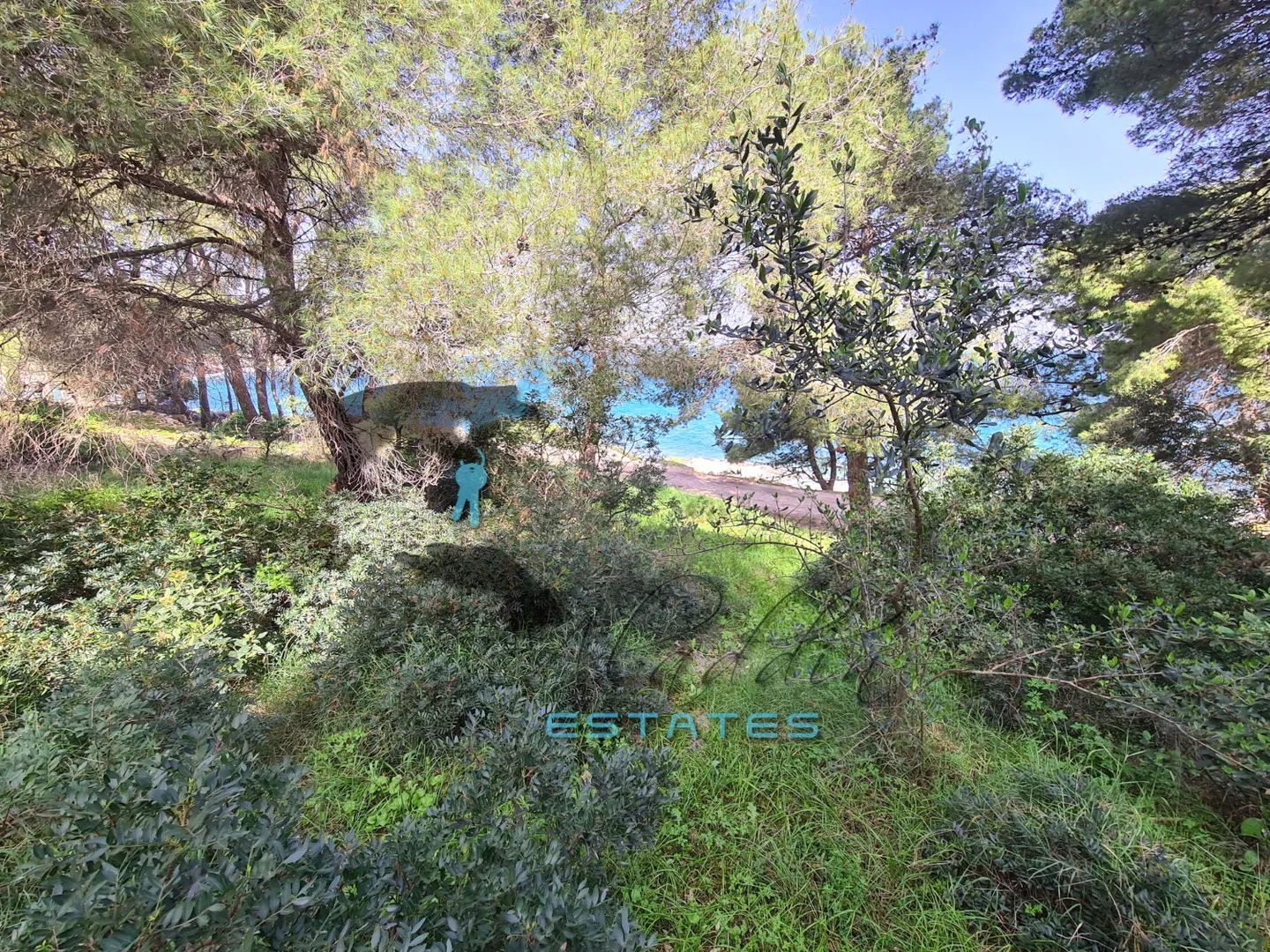 slatine, očaravajuća poljoprivredna čestica, prvi red do mora i plaže, 5.530 m2 - slika 3