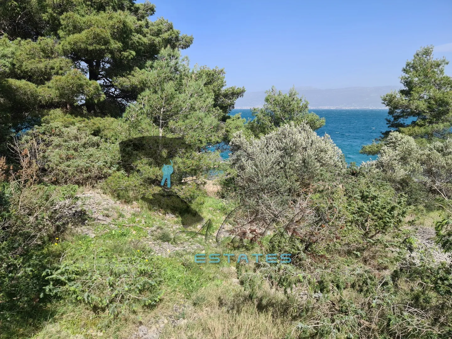 slatine, očaravajuća poljoprivredna čestica, prvi red do mora i plaže, 5.530 m2 - slika 5