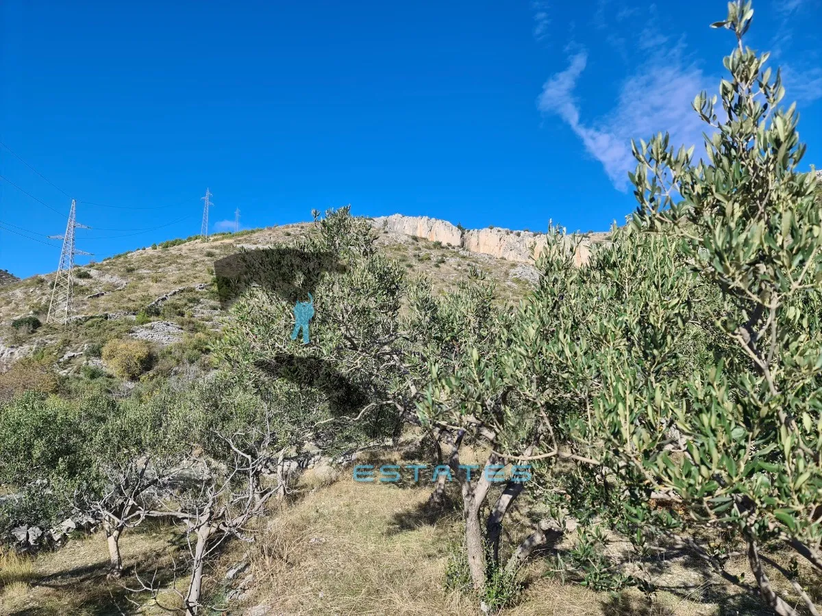 seget gornji, izdašna poljoprivredna čestica s maslinikom i pogledom na more, 4840 m2 - slika 5