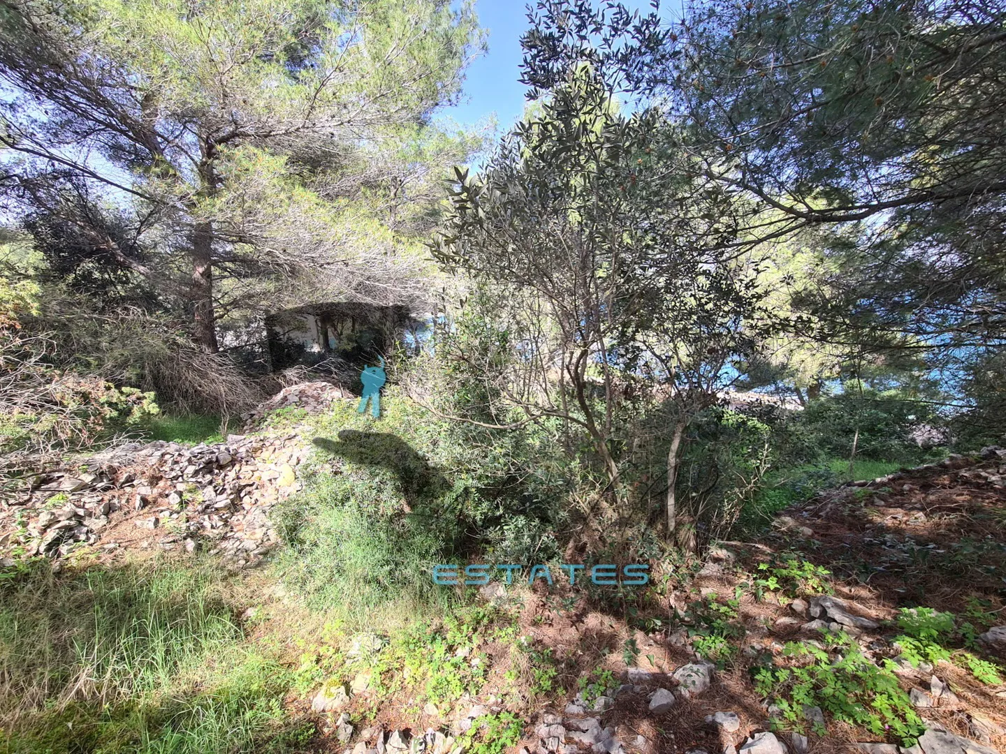 slatine, očaravajuća poljoprivredna čestica, prvi red do mora i plaže, 5.530 m2 - slika 4