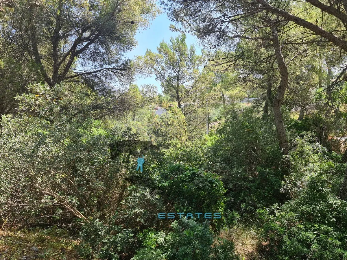 sutivan, prostrana čestica drugi red do mora s prekrasnim pogledom, 7.063 m2 - slika 7