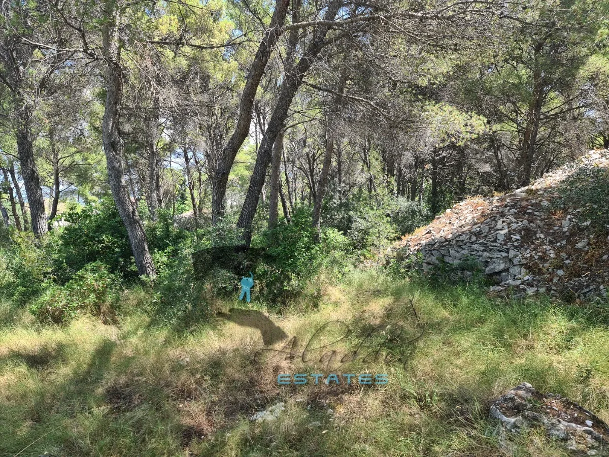 sutivan, prostrana čestica drugi red do mora s prekrasnim pogledom, 7.063 m2 - slika 3