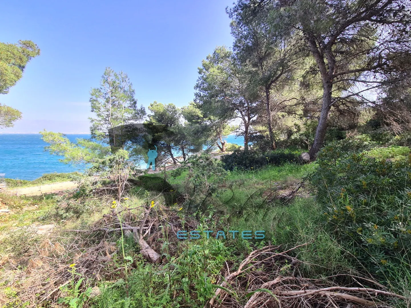 slatine, očaravajuća poljoprivredna čestica, prvi red do mora i plaže, 5.530 m2 - slika 2