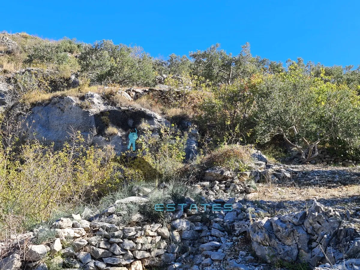 seget gornji, izdašna poljoprivredna čestica s maslinikom i pogledom na more, 4840 m2 - slika 8
