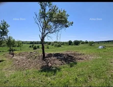 Građevinsko zemljište Građevinska parcela 1.200 m² + poljoprivredno zemljište 4.400 m² – Vižinada