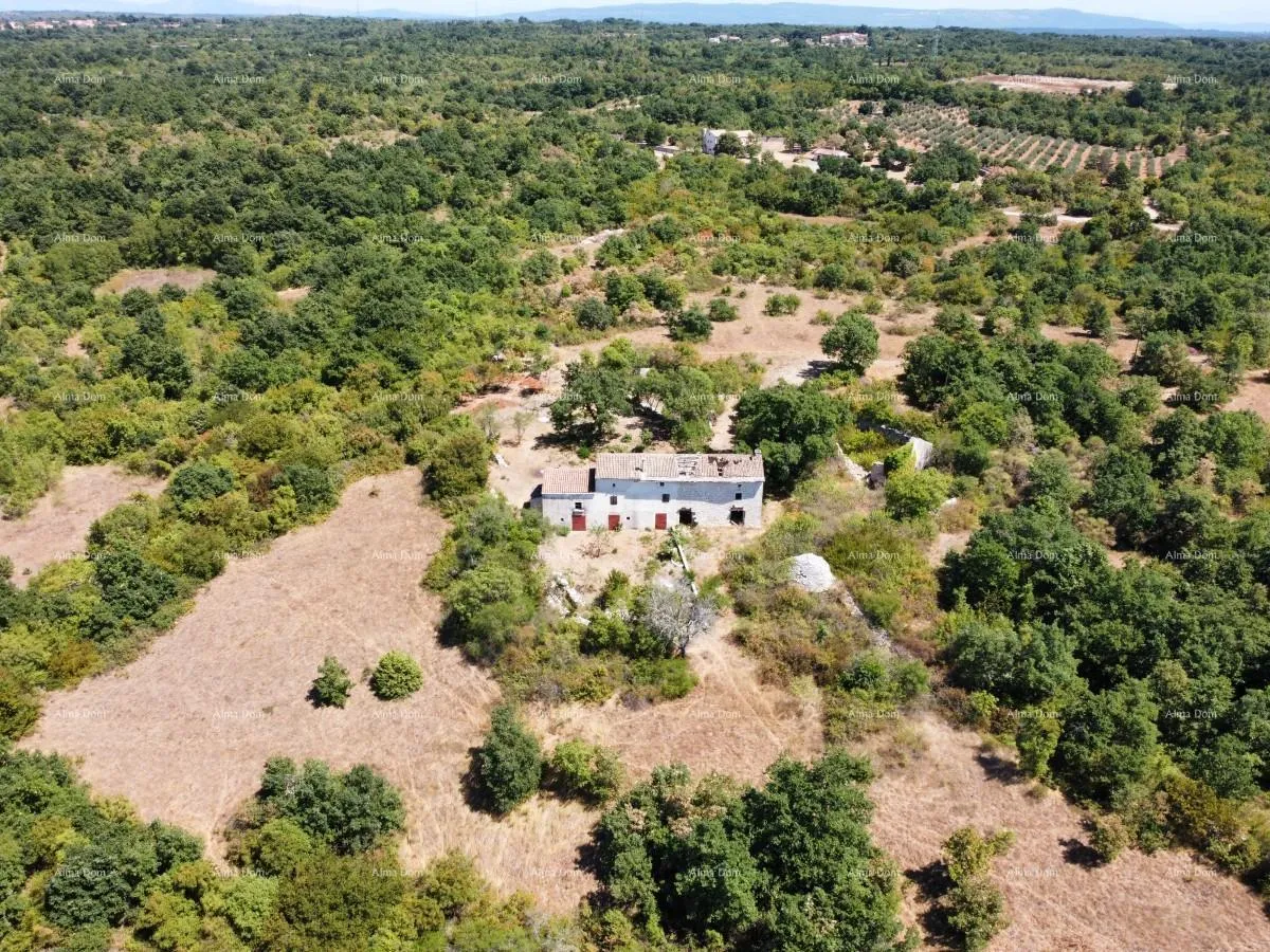kuća stancija kod vodnjana! veliki teren 6390 m2!! - slika 15