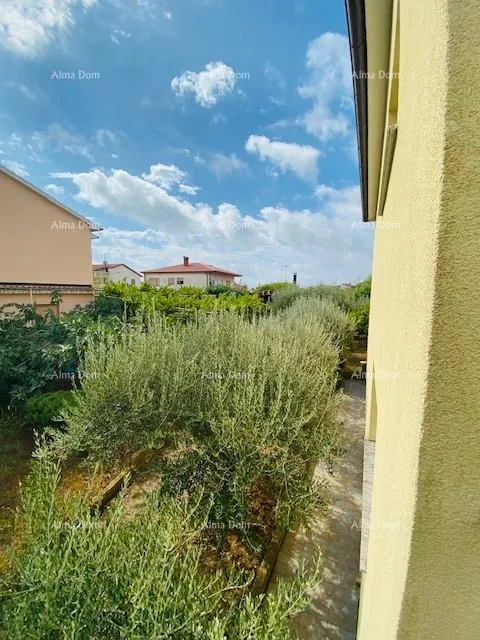 kuća prostrana, namještena kuća u puli s velikim dvorištem i brojnim mogućnostima - slika 21