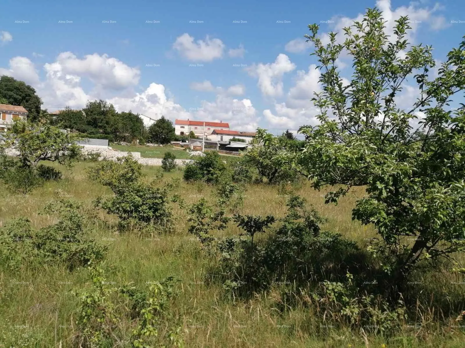 kuća prodaje se kuća sa šumom u kašteliru - slika 7