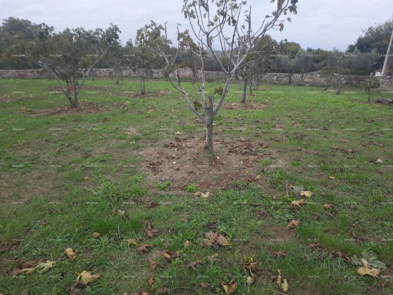 građevinsko zemljište marčana – građevinsko zemljište 2102 m² - slika 3