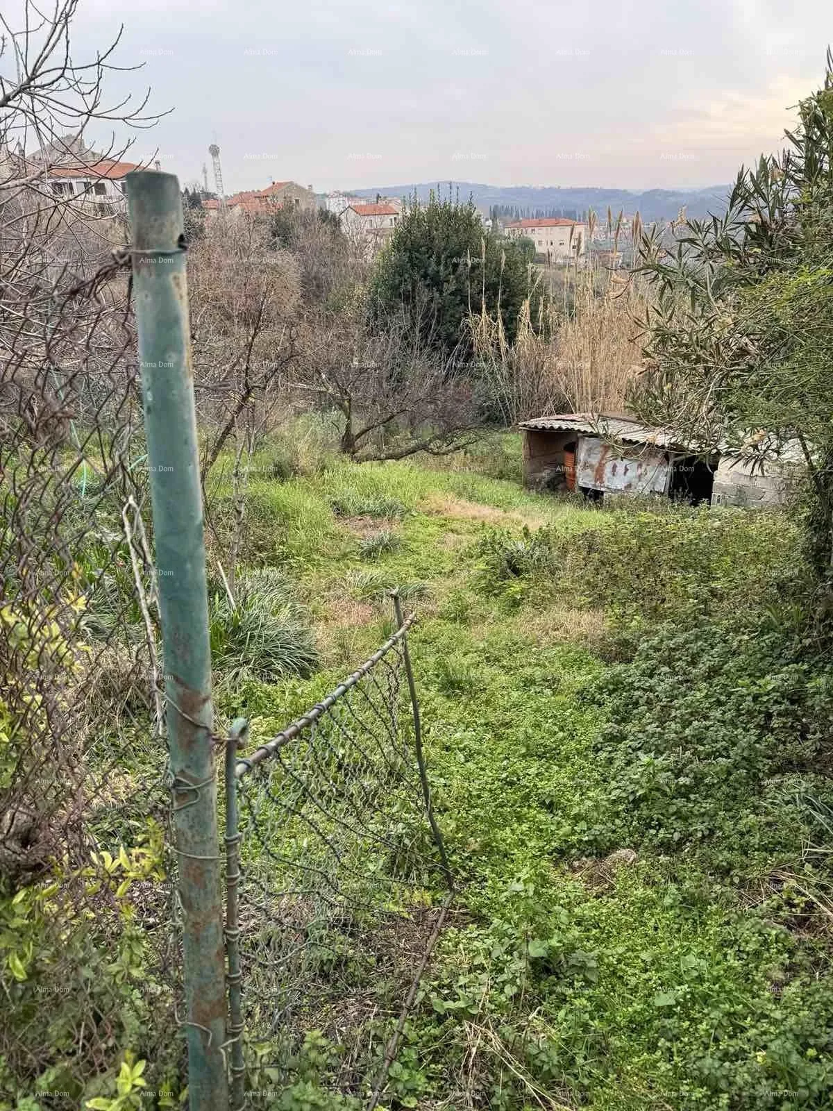kuća prodaja kuće sa dvorištem u nepodrednoj blizini centra, buje! - slika 28
