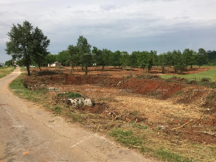 građevinsko zemljište blizina poreča ! građevinsko zemljište sa poljoprivrednim 39.000 m2! - slika 2
