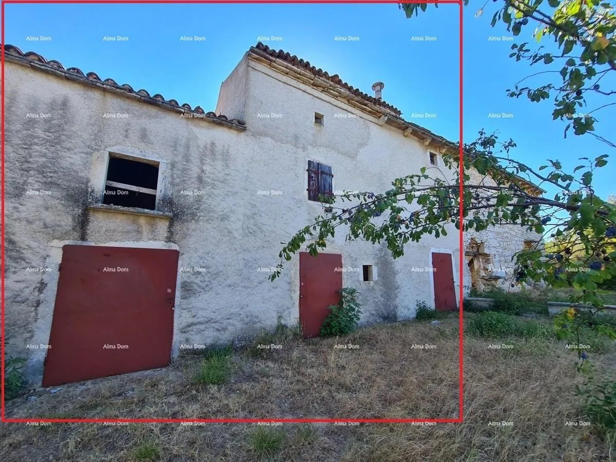 kuća stancija kod vodnjana! veliki teren 6390 m2!! - slika 22