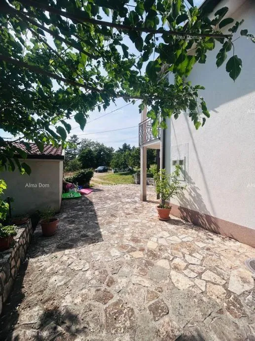 kuća buje – samostojeća kuća s maslinikom i građevinskim zemljištem - slika 9
