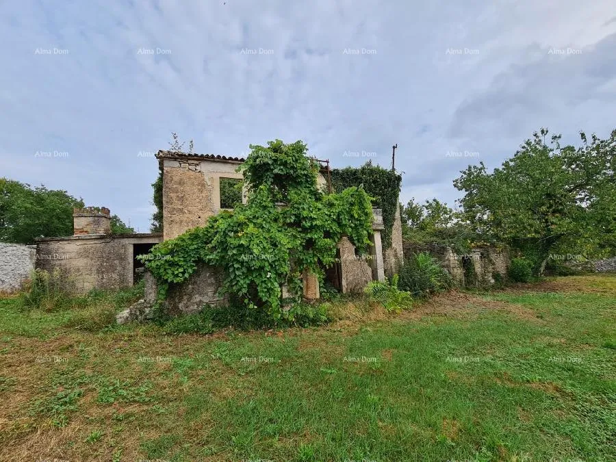 kuća stare ruševne kuće na velikom terenu od 6880 m2. - slika 7