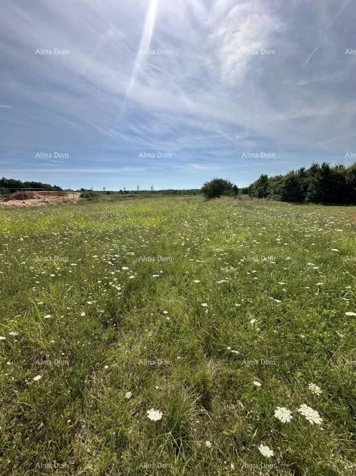 građevinsko zemljište prodaje se građevinsko zemljište, 5832m2, barban - slika 5