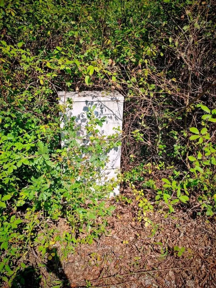 Građevinsko zemljište Istra, Kršan, prodajemo dva građevinska zemljišta sa dozvolama.
