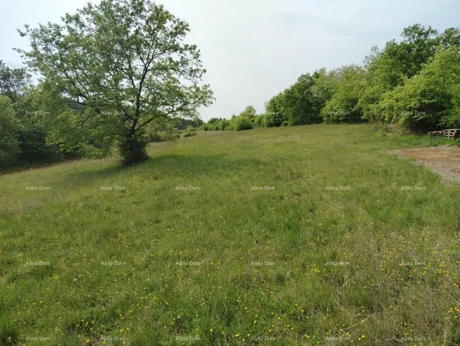 građevinsko zemljište građevinsko zemljište 3.528 m² , u blizini grožnjana - slika 3