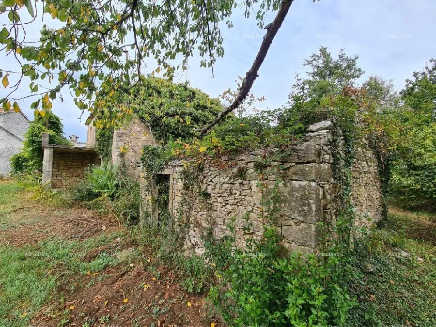 kuća stare ruševne kuće na velikom terenu od 6880 m2. - slika 14