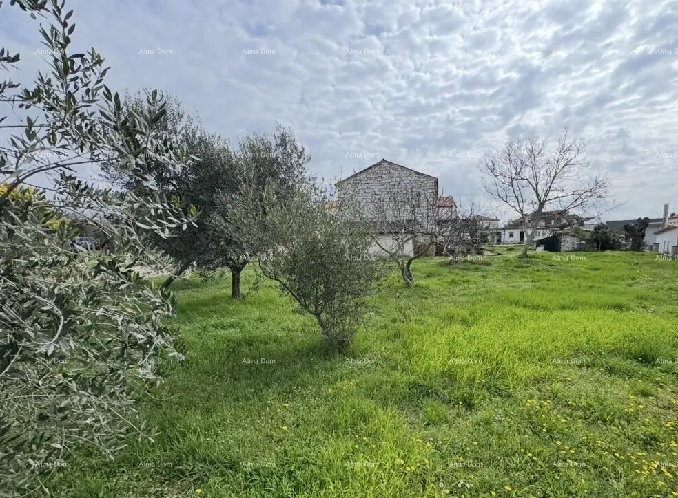 kuća kamena kuća s potencijalom – blizu umaga - slika 2