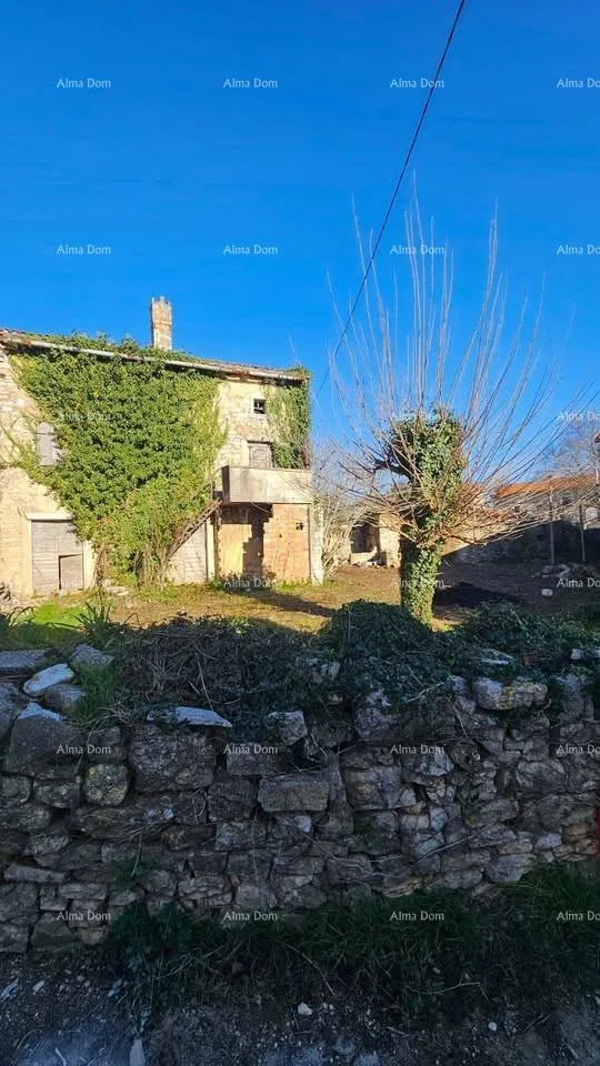 kuća na prodaju ruševna kuća – svetvinčenat, blizina čabrunića. - slika 7