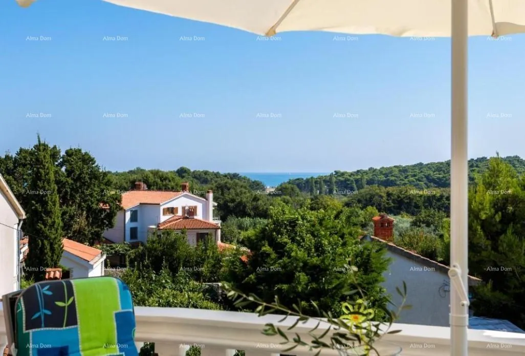 kuća kuća s apartmanima i bazenom u premanturi – pogled na more! - slika 16