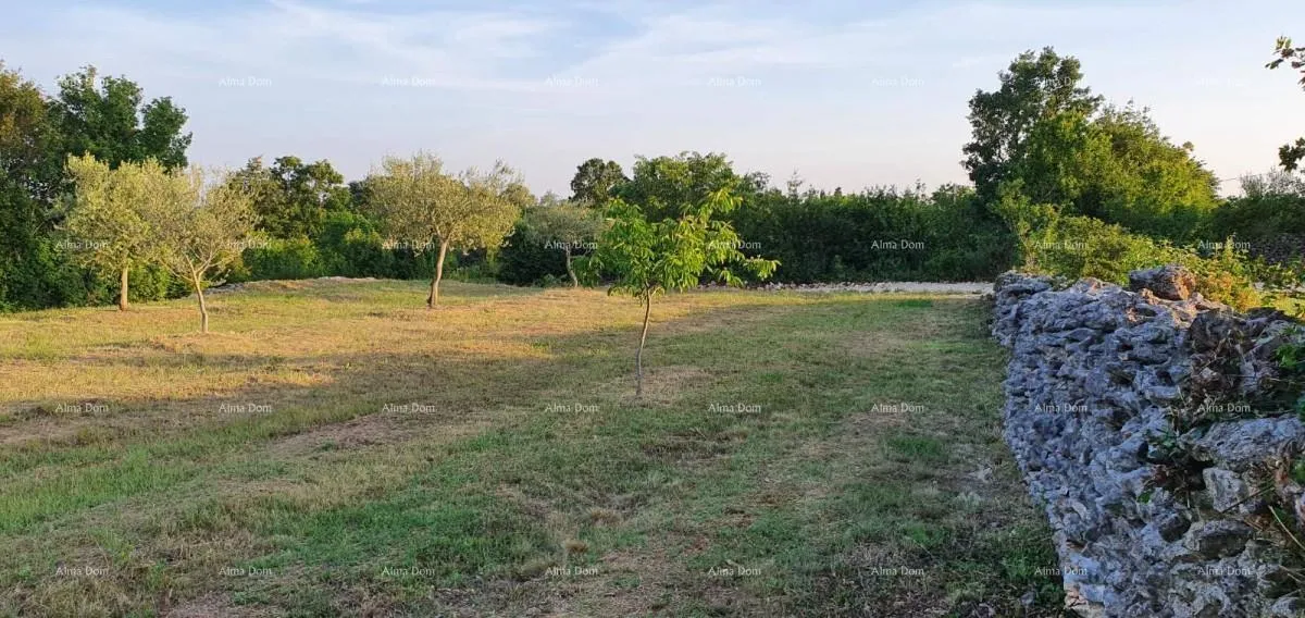 građevinsko zemljište građevinsko zemljište u filipani! - slika 5