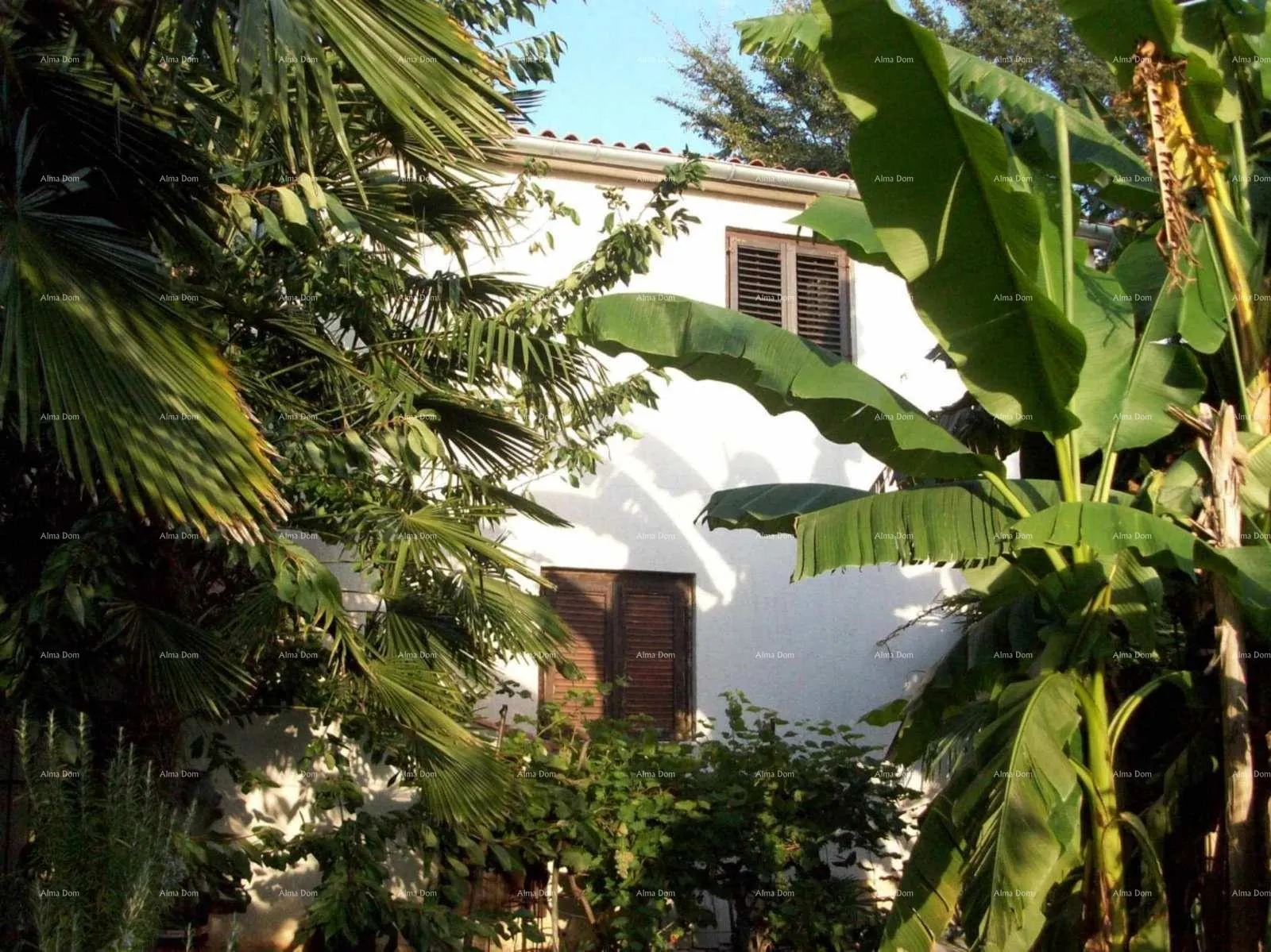 kuća prodaje se kuća sa tri stana, umag - slika 21