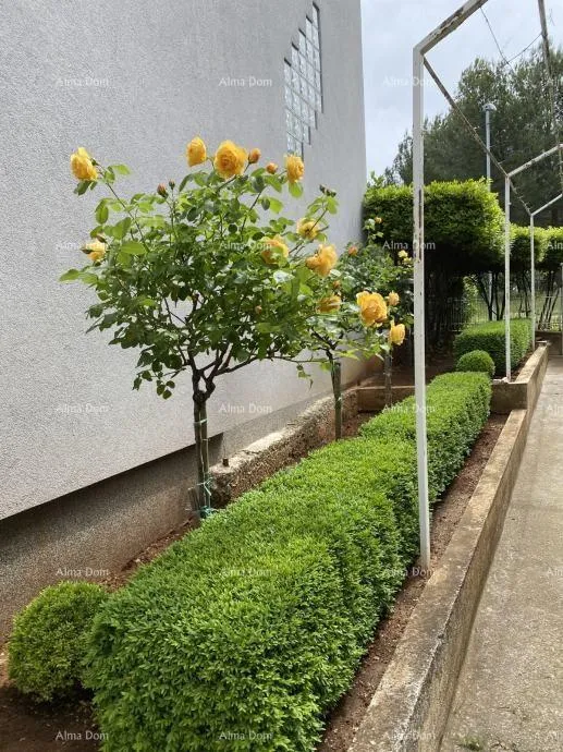 kuća pula – stoja dvojna kuća s dvije stambene jedinice, 50 m od mora - slika 6