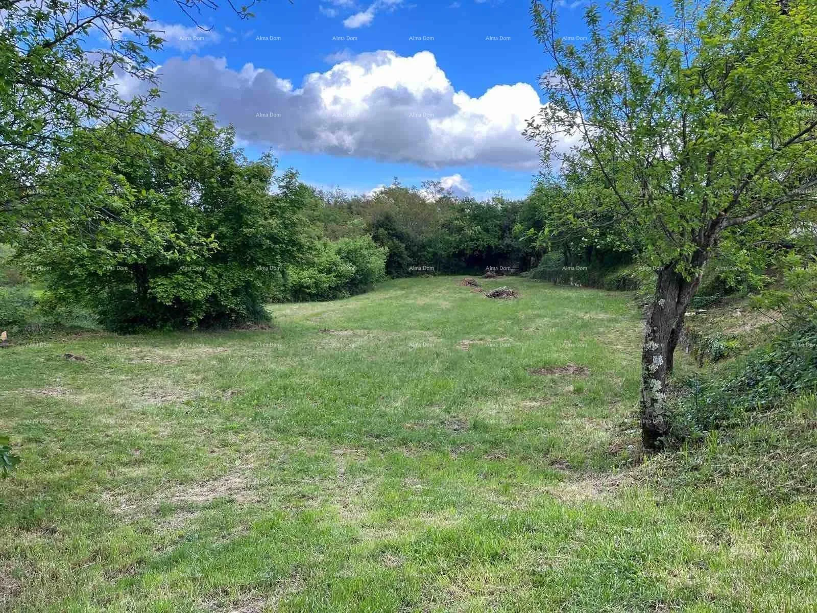 građevinsko zemljište prodaje se građevinsko zemljište, 1137 m2, kanfanar - slika 5