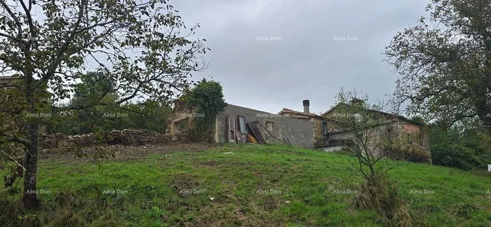 Kuća Veliko imanje s kućom i građevinskim zemljištem, okolica Buzeta