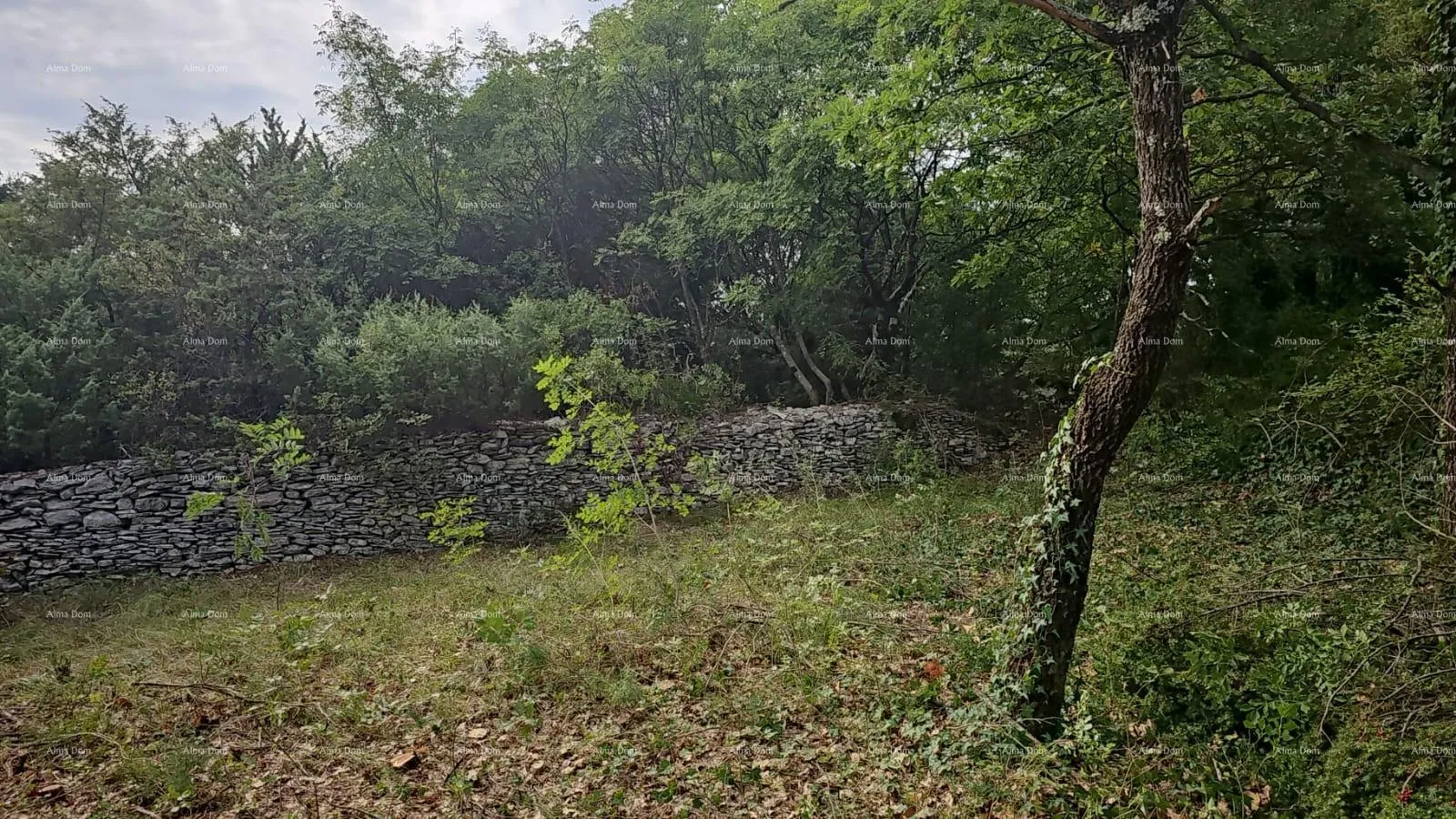 Građevinsko zemljište Građevinsko i poljoprivredno zemljište u blizini Svetvinčenata: 11100 m² za vašu investiciju