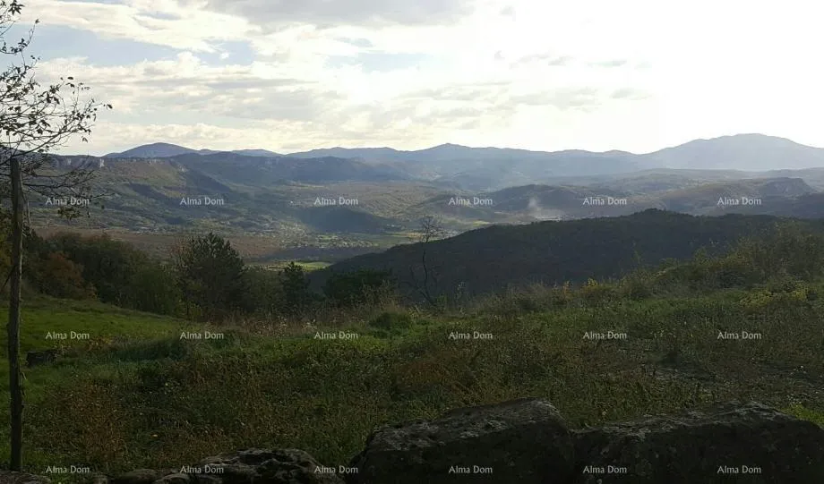 kuća izvrsna prilika! kamena kuća za obnovu s velikom okućnicom, blizina buzeta! - slika 9