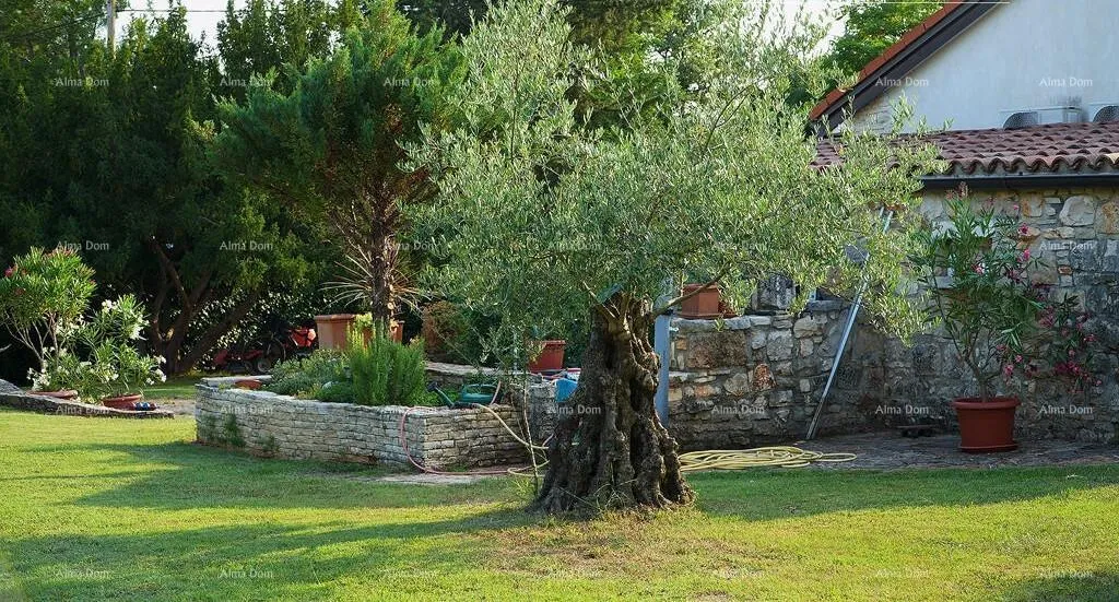 kuća umag, kuća, 144 m², s velikim vrtom i ljetnom kuhinjom, potpuno renovirana! - slika 17