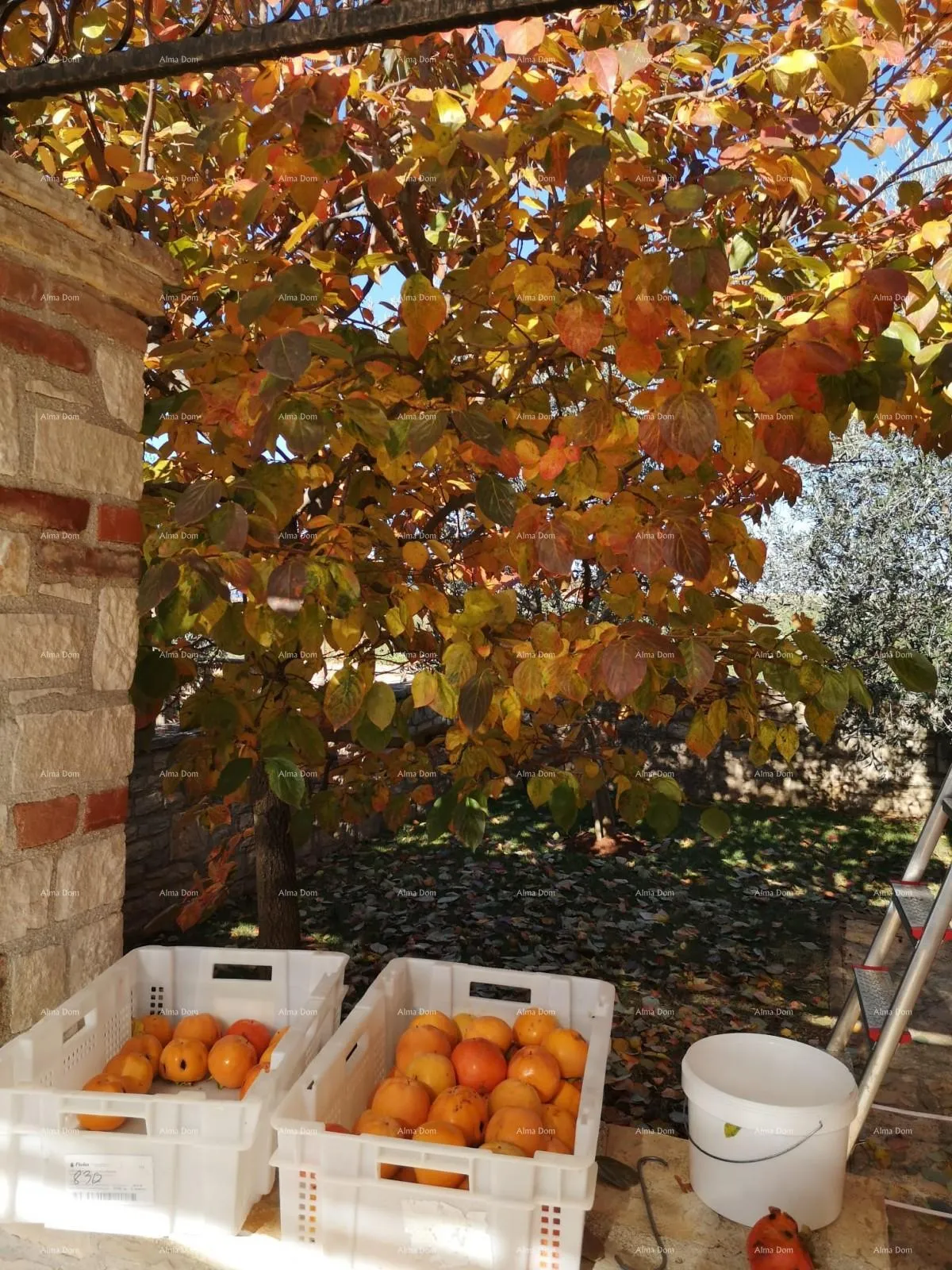 kuća prekrasna kuća s velikim bazenom. blizina kaštelira. - slika 23