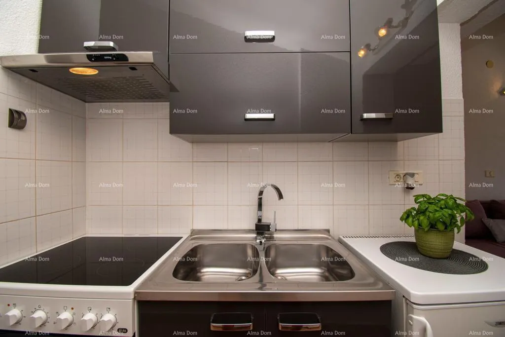 kuća banjole. kuća sa 3 apartmana i bazenom. - slika 14