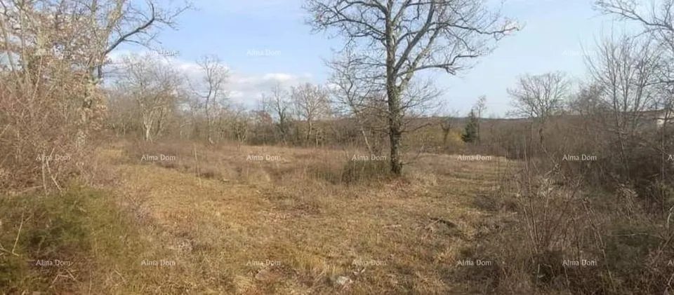 Građevinsko zemljište Prodaja građevinskog zemljišta u Mužićima blizina Grožnjana.