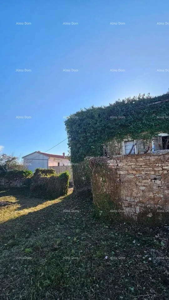 kuća na prodaju ruševna kuća – svetvinčenat, blizina čabrunića. - slika 4