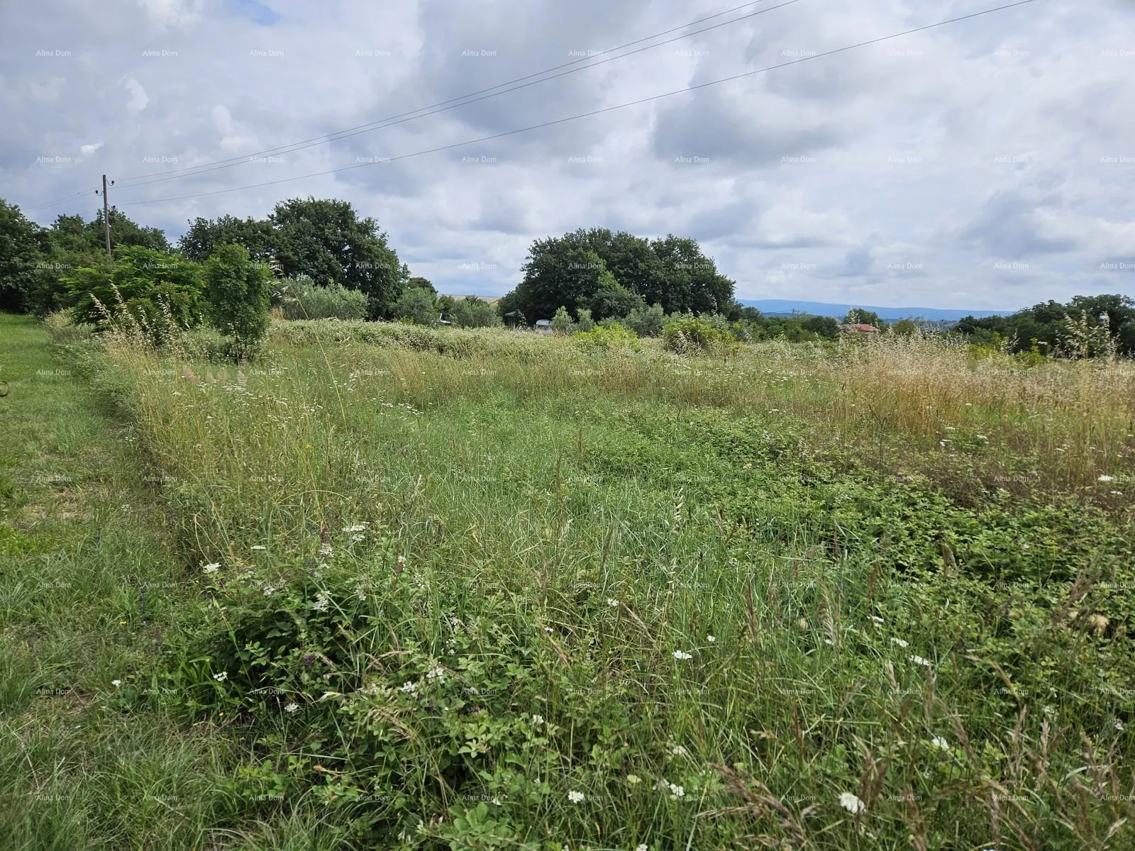 građevinsko zemljište prodaje se građevinsko zemljište, 1712m2, marčana! - slika 3