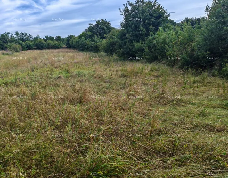 građevinsko zemljište građevinsko zemljište površine 1.600 m² u blizini svetvinčenata - slika 2